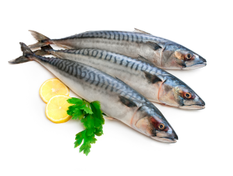 Feat-Fish